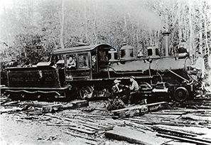 train