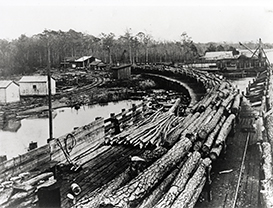 logs